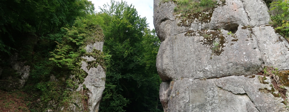 Ojcowski Park Narodowy i Dolinki Podkrakowskie