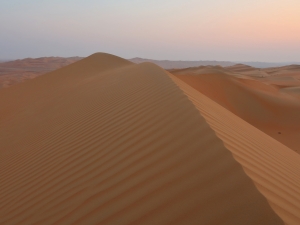 Zjednoczone Emiraty Arabskie - pustynia Liwa