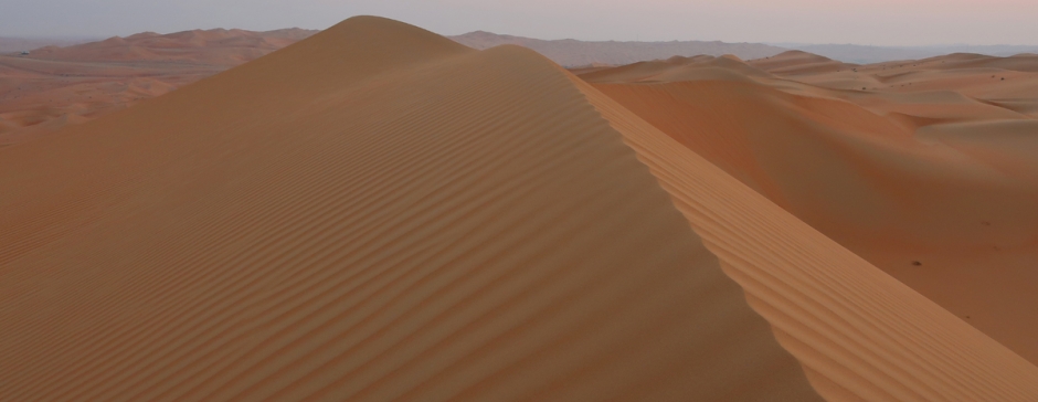 Zjednoczone Emiraty Arabskie - pustynia Liwa