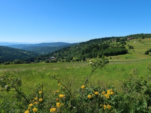 Weekend w Beskidzie Makowskim