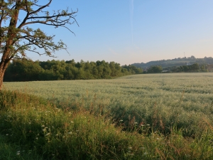 Pogórza