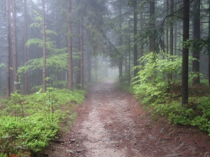 Beskid Makowski