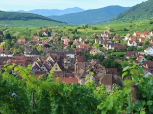Alzacja Francja