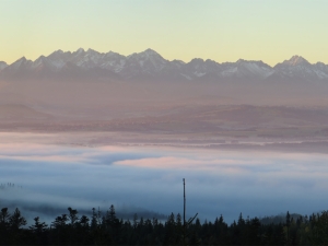 Widok z Łapsowej Polany na Tatry