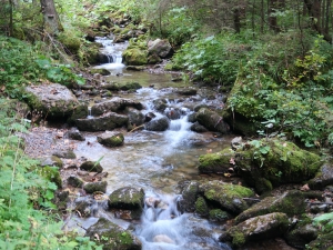 Potok Strążyski