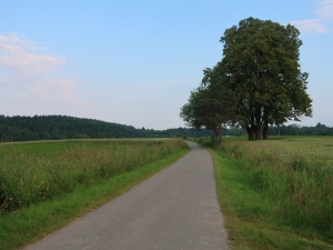 Ciężkowicko-Rożnowski Park Krajobrazowy