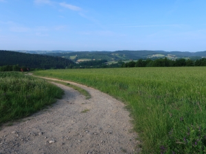 Ciężkowicko-Rożnowski Park Krajobrazowy