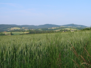 Ciężkowicko-Rożnowski Park Krajobrazowy