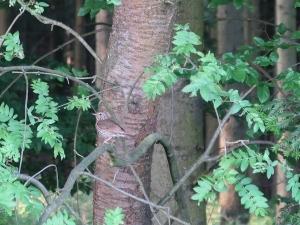 Ciężkowicko-Rożnowski Park Krajobrazowy