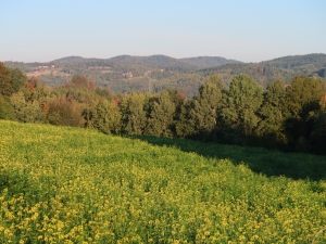 Ciężkowicko-Rożnowski Park Krajobrazowy