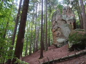 Ciężkowicko-Rożnowski Park Krajobrazowy - Rezerwat Diable Skały w Bukowcu