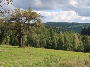 Ciężkowicko-Rożnowski Park Krajobrazowy