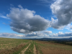 Ciężkowicko-Rożnowski Park Krajobrazowy