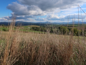 Ciężkowicko-Rożnowski Park Krajobrazowy
