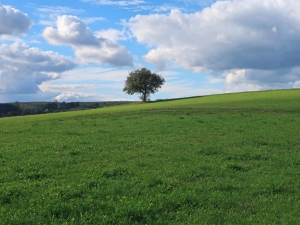 Ciężkowicko-Rożnowski Park Krajobrazowy