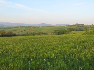 Ciężkowicko-Rożnowski Park Krajobrazowy