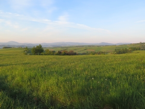 Ciężkowicko-Rożnowski Park Krajobrazowy