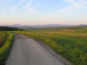 Ciężkowicko-Rożnowski Park Krajobrazowy