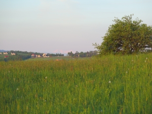 Ciężkowicko-Rożnowski Park Krajobrazowy