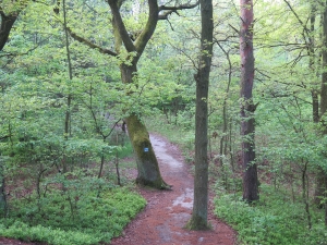 Ciężkowicko-Rożnowski Park Krajobrazowy - Ciężkowickie Skamieniałe Miasto