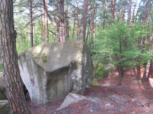 Ciężkowicko-Rożnowski Park Krajobrazowy - Ciężkowickie Skamieniałe Miasto