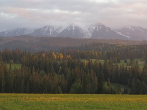 Przełęcz nad Łapszanką