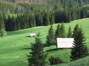 Szałasy na Polanie Kalatówki