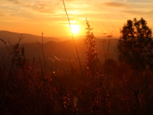 Wschód Słońca na Wojciechowej Górze