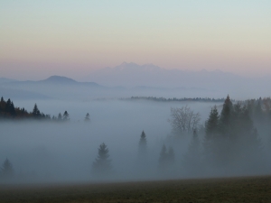Poranne mgły na Polanie Litawcowej