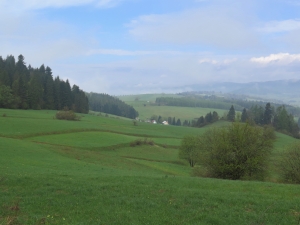 Widok z Przełęczy Sańba w kierunku Gorców