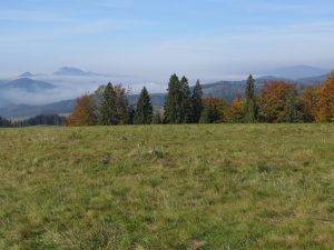 Widok na Pieniny z okolic Pokrywiska
