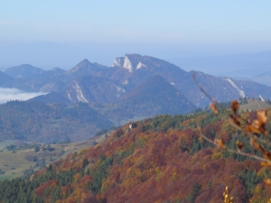 Widok na Trzy Korony z Wysokiej