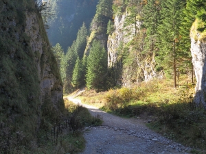 Wąwóz Szopczański