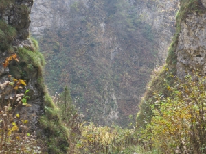 Wąwóz Szopczański