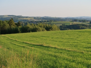 Na szlaku z Bobowej do Szalowej