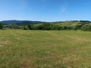 Pasmo Jaworza i Wojciechowa Góra