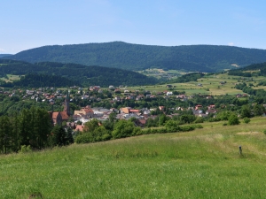 Widok na Grybów i pasmo Jaworza