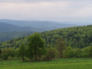 Widok z okolic Parszywki