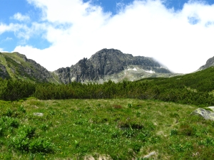 Dolina Furkotna (Skutnata Polana)