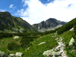 Dolina Furkotna