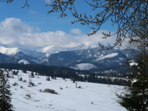 Widok na Tatry z okolic Ostrysza