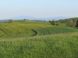 Widok w kierunku Babiej Góry