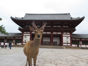 Nara