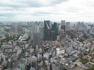 Widok na Tokio z Mori Tower