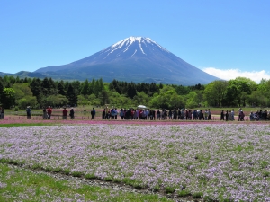 Fuji