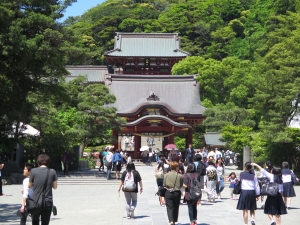Świątynia Tsurugaoka Hachimangū, Kamakura