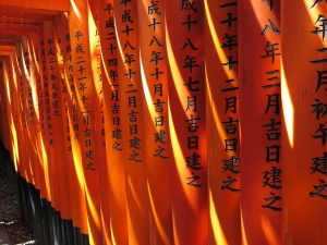 Torii w świątyni Fushimi-Inari w Kioto