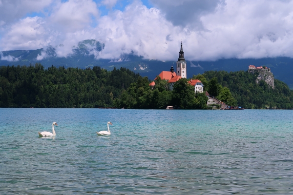 Jezioro Bled, Słowenia