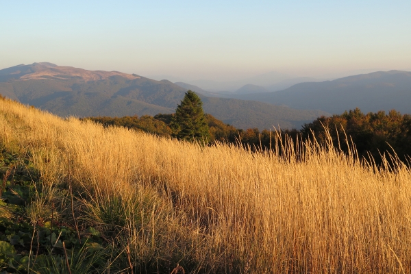 Na Połoninie Caryńskiej, Bieszczady