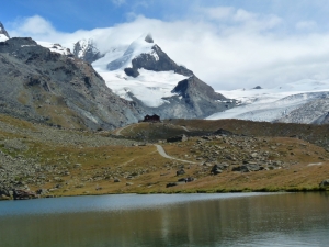 Stellisee